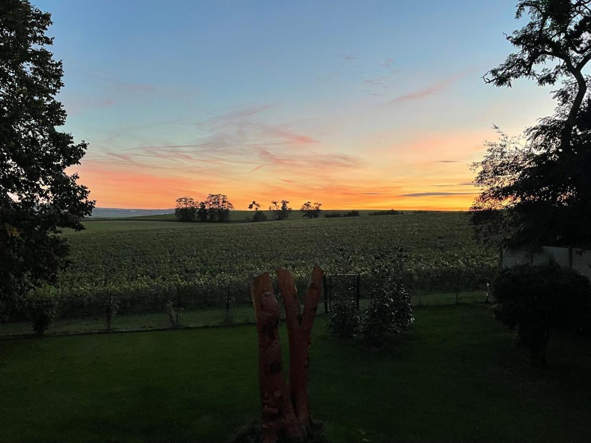 Best View, Pool And Spa On The Champagne Vineyard Saint-Thierry 외부 사진