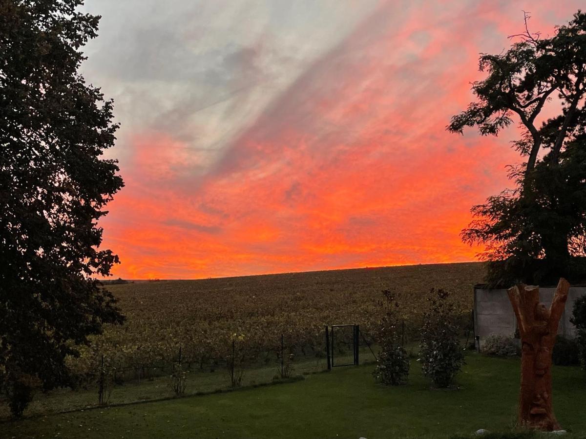 Best View, Pool And Spa On The Champagne Vineyard Saint-Thierry 외부 사진