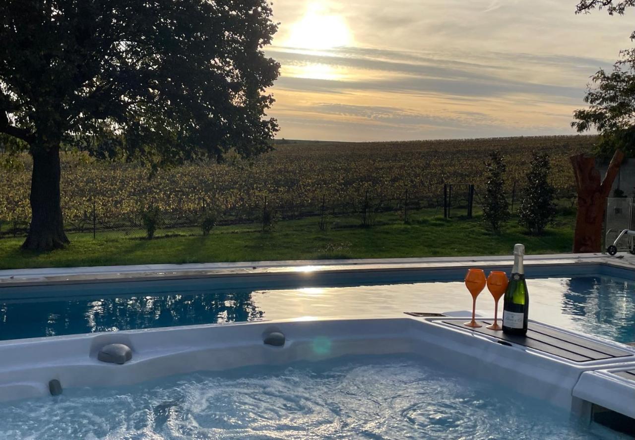 Best View, Pool And Spa On The Champagne Vineyard Saint-Thierry 외부 사진