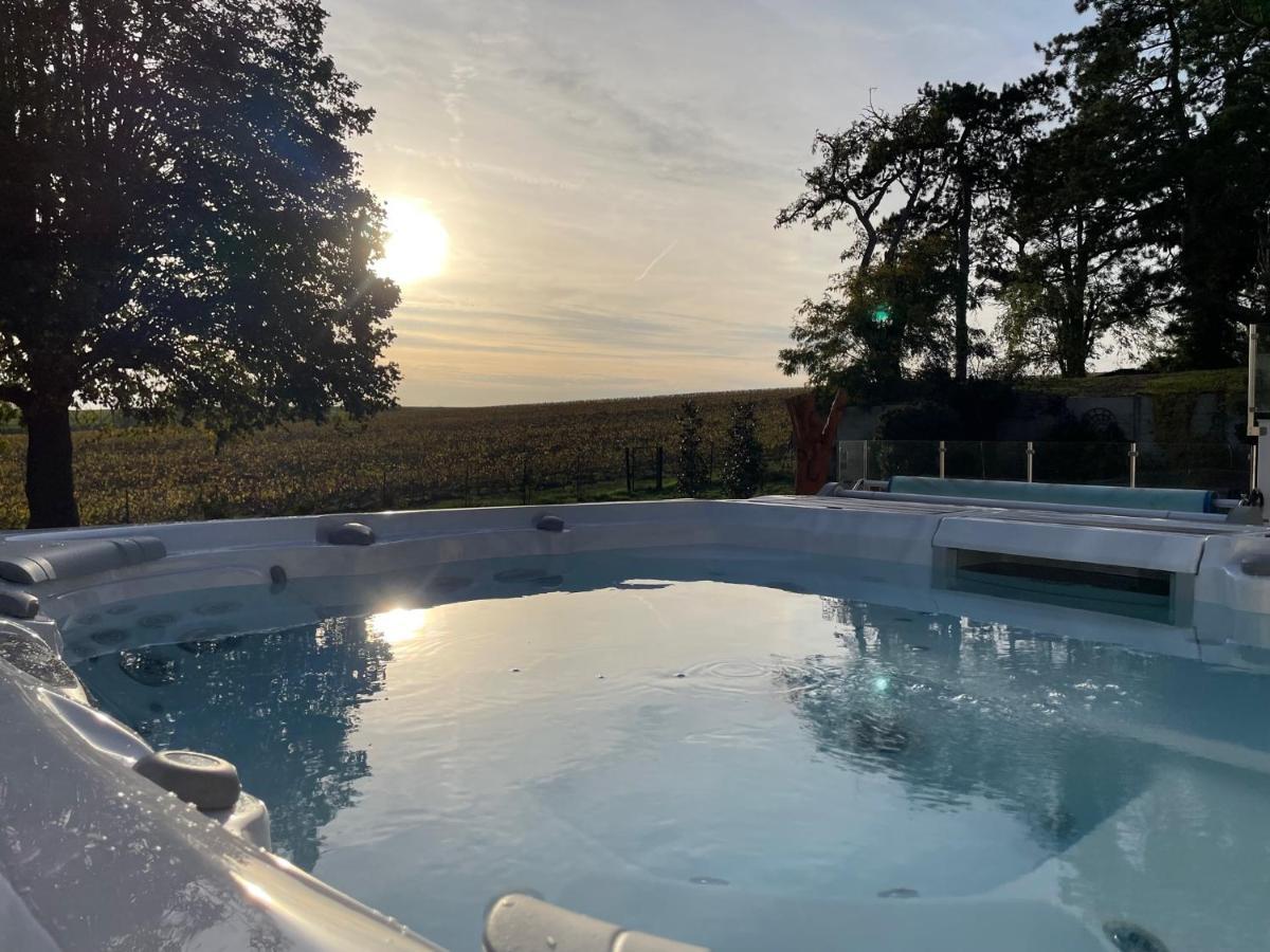 Best View, Pool And Spa On The Champagne Vineyard Saint-Thierry 외부 사진